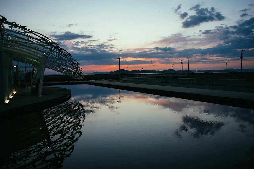 34437491876 55fc1c7a74 b