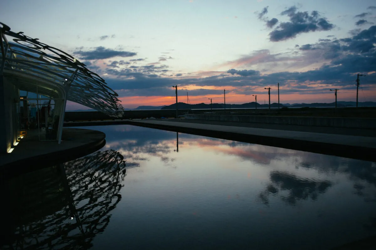 34437491876 8e859ec78d o