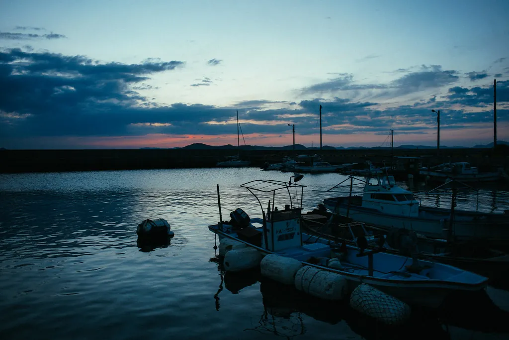 34437492076 c33b49c617 b