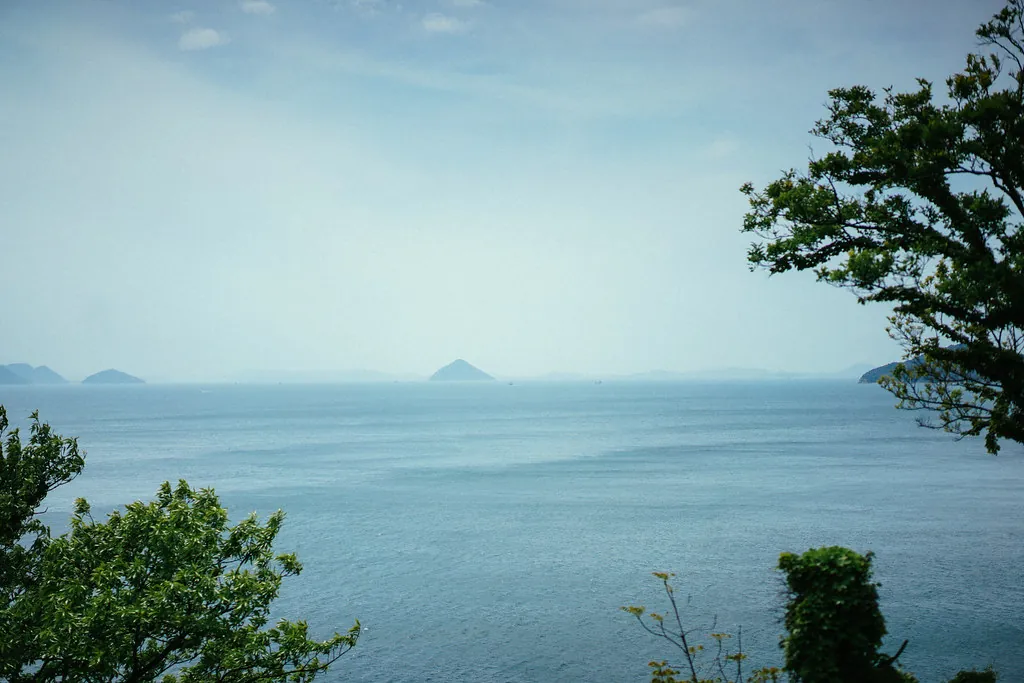 34437492486 a23b6cfe34 b