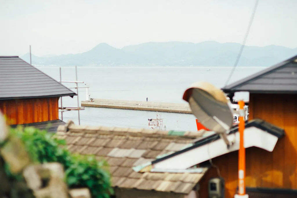 34437492996 1672f6ac85 b 1