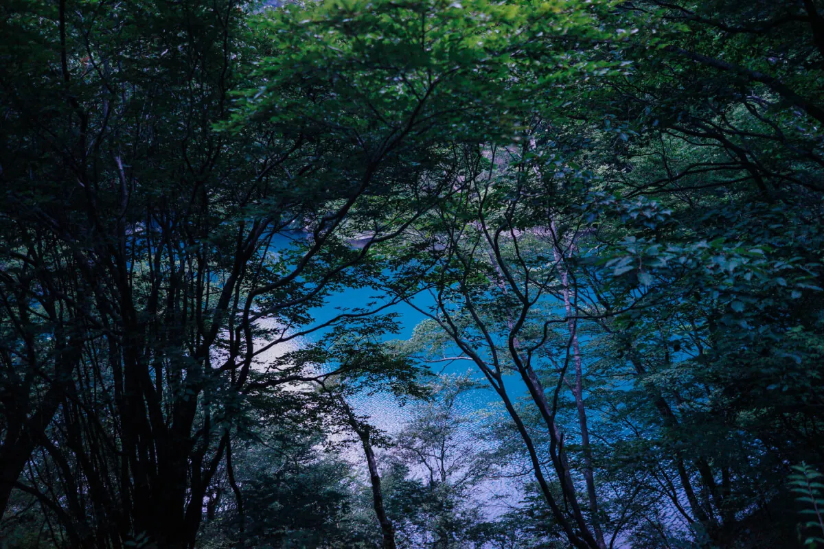 35163803424 1a129b040c o