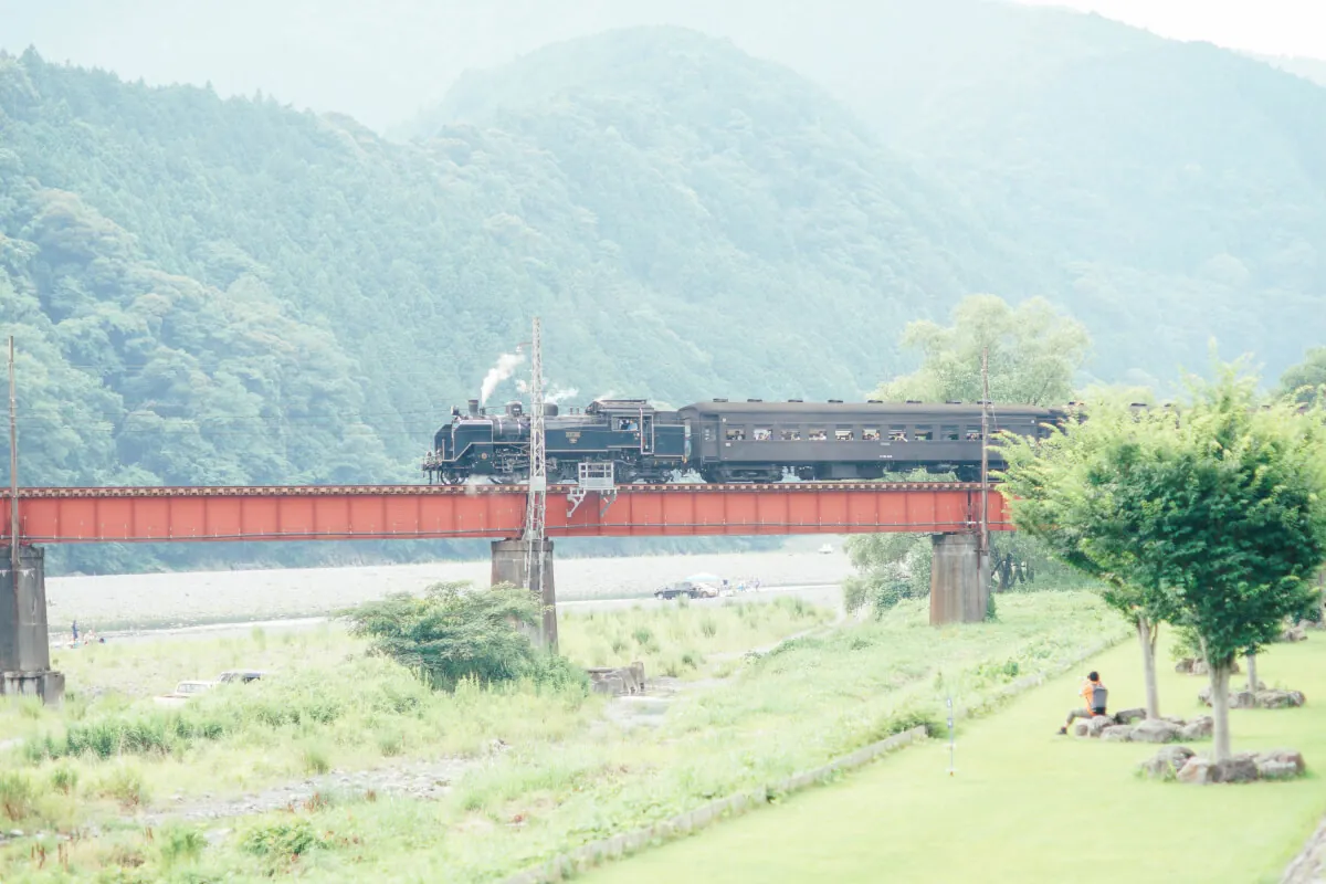 35192772363 a93274d156 o