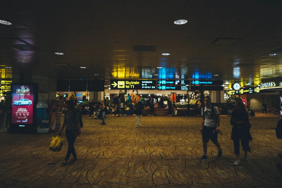 35459804991 15776655d9 o