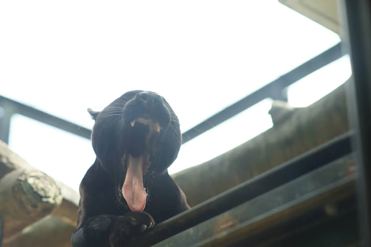 35832904332 1bcee29f6a o