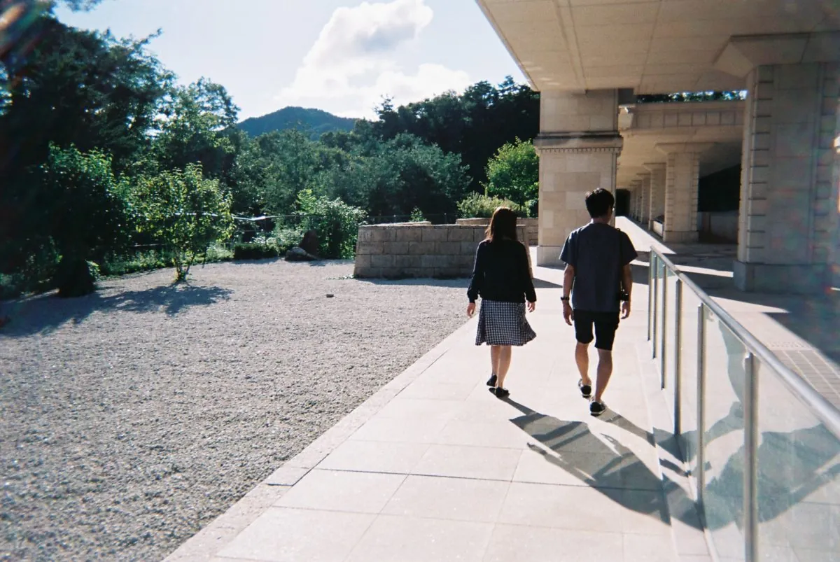 36230606544 182779b249 o