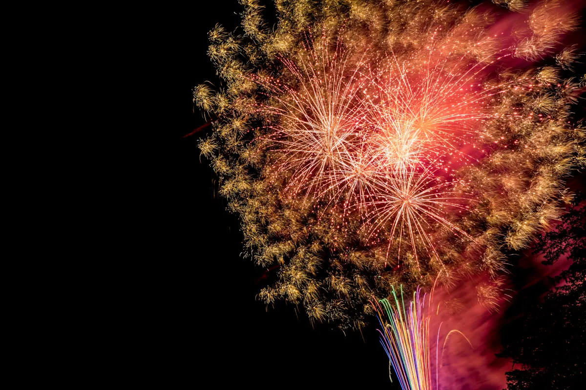 36546549045 1cce2db885 o 1