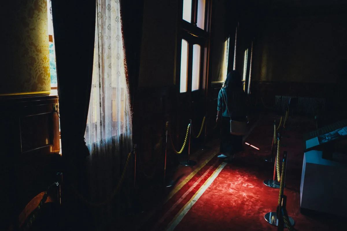 37240576476 68777e7df2 o