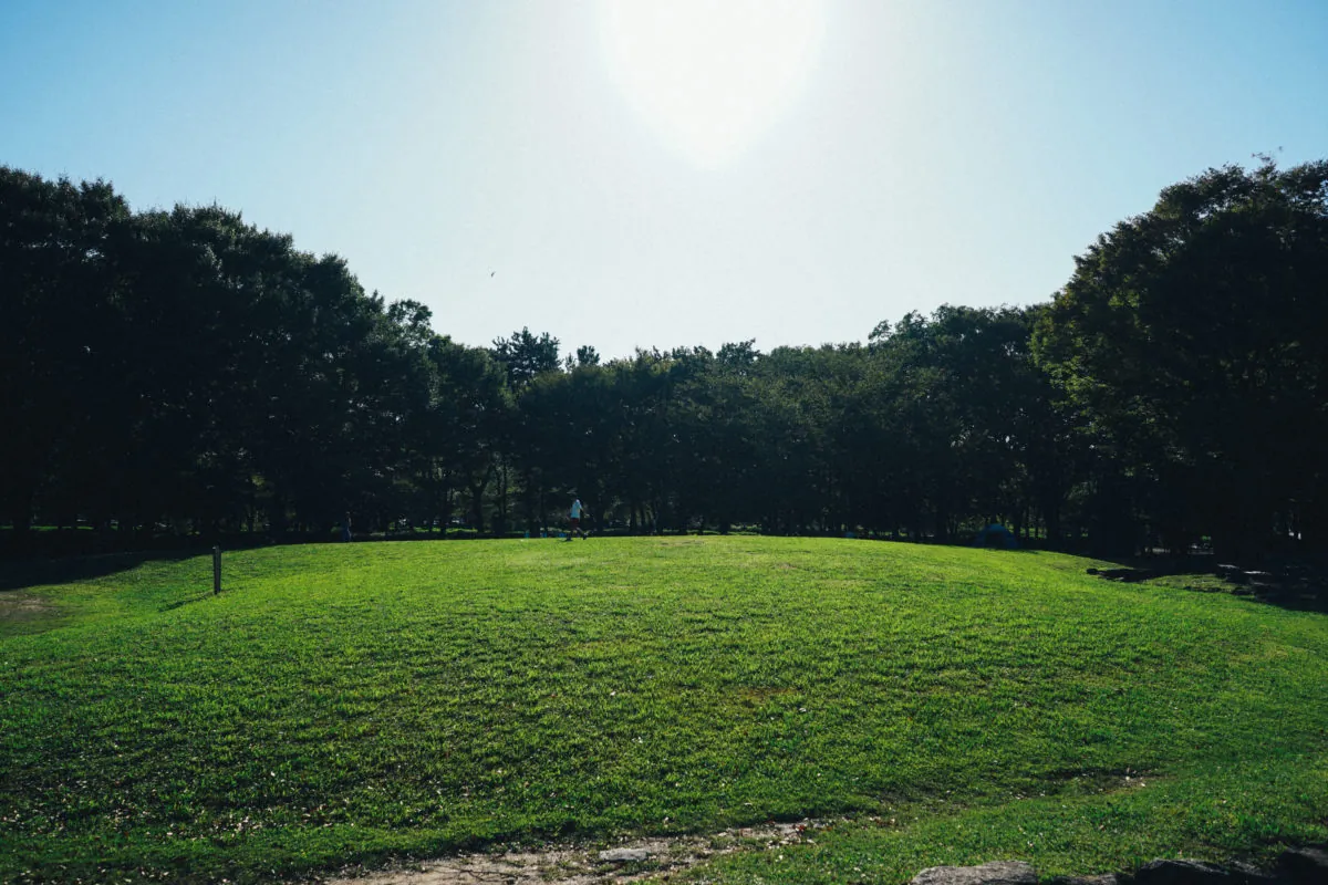 37320540902 26d9198e18 o