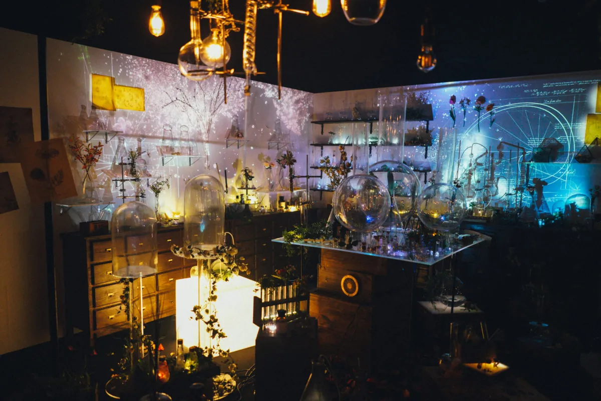 37545896216 80260bed6d o