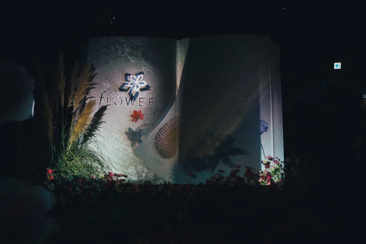 37545900076 391edf01be o