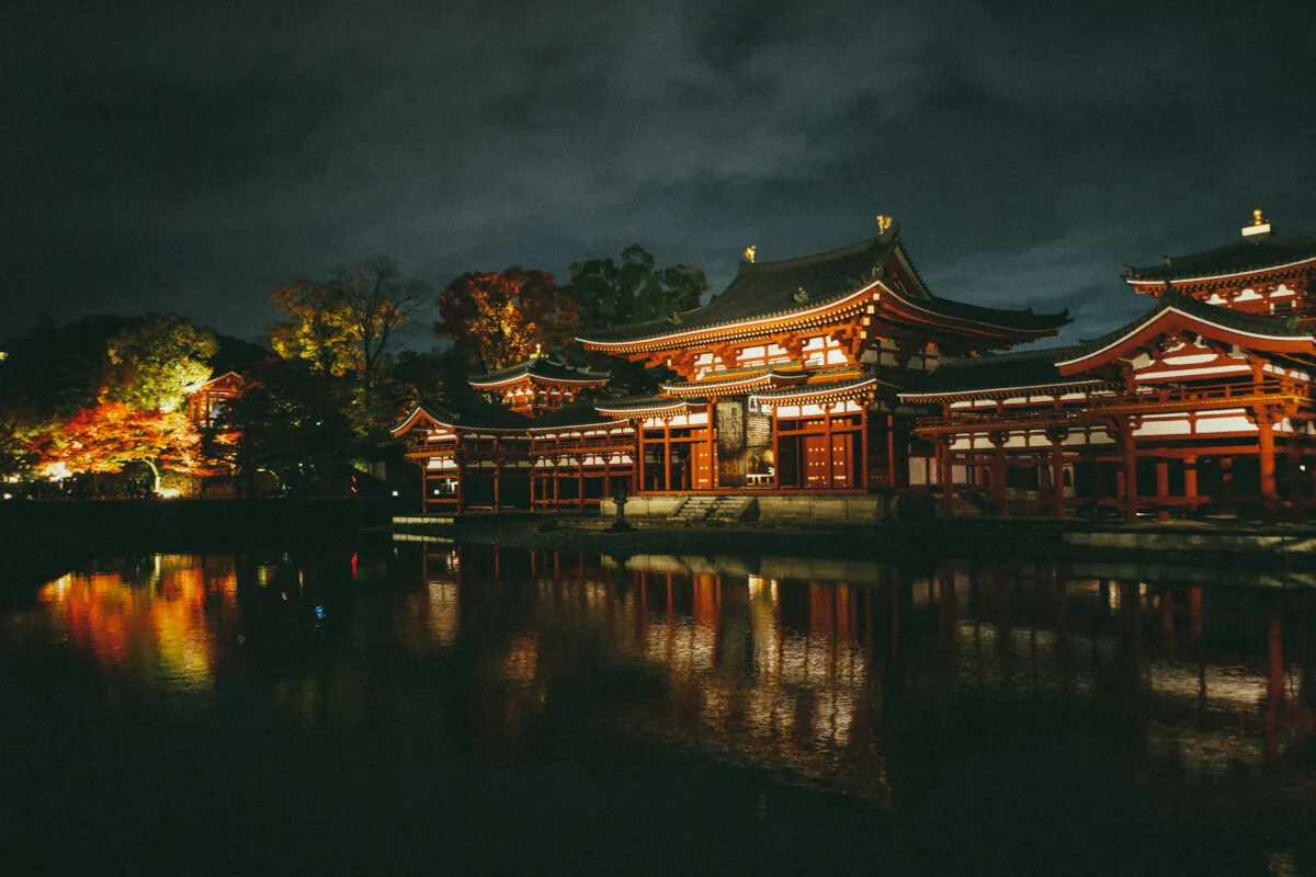 37627592185 41d38f05e6 o