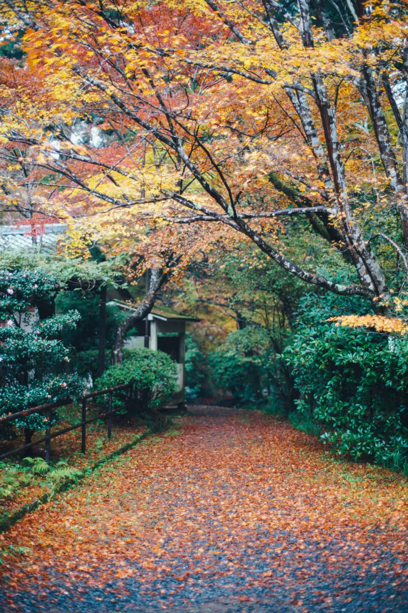 37710217925 05e7ef7ae4 o 1