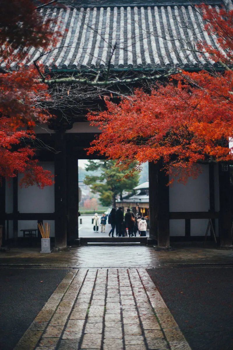 37881067324 c352fafdc3 o