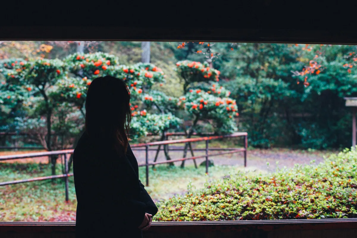 37881067644 9a03e395be o