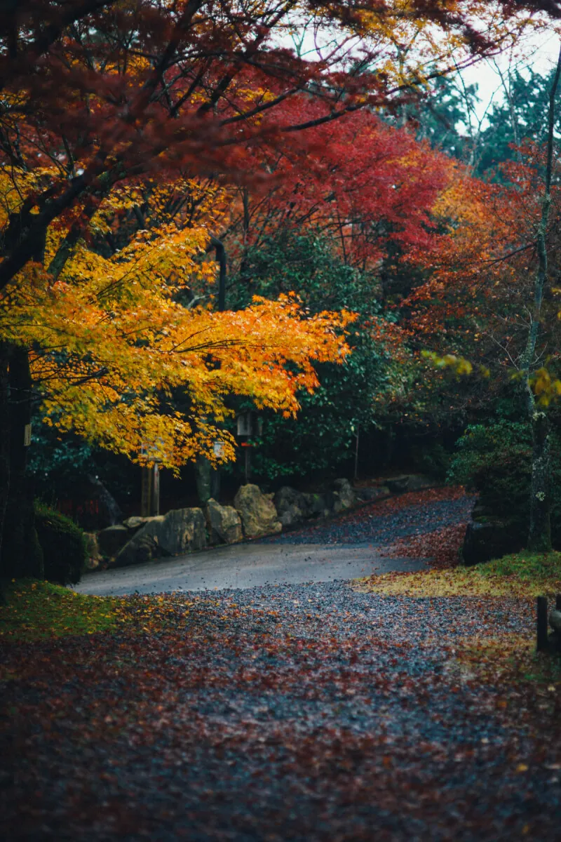 37881068694 0541117e18 o