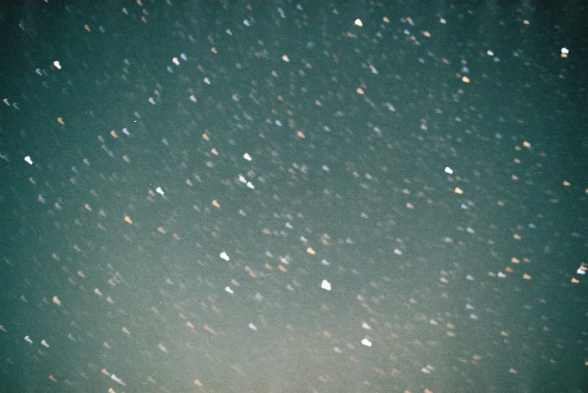 38307122526 b48afb5268 o