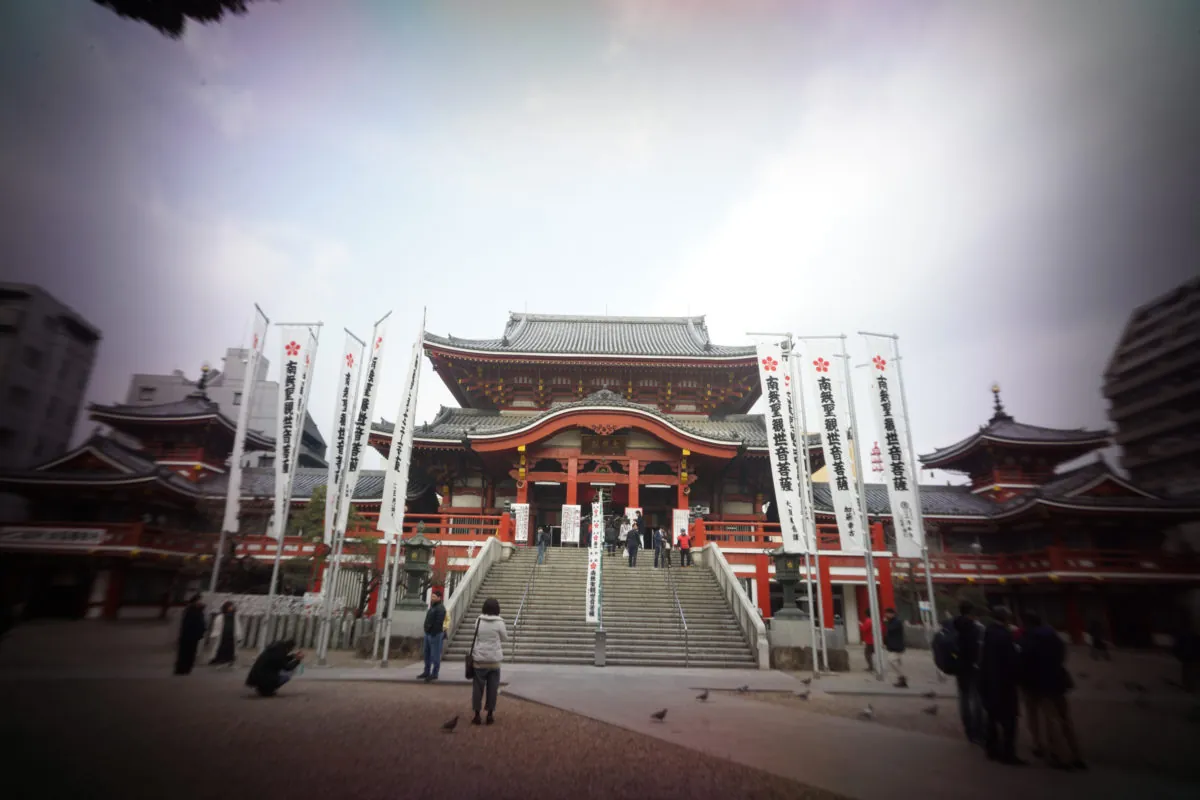 38640548840 ea6aaf9d50 o