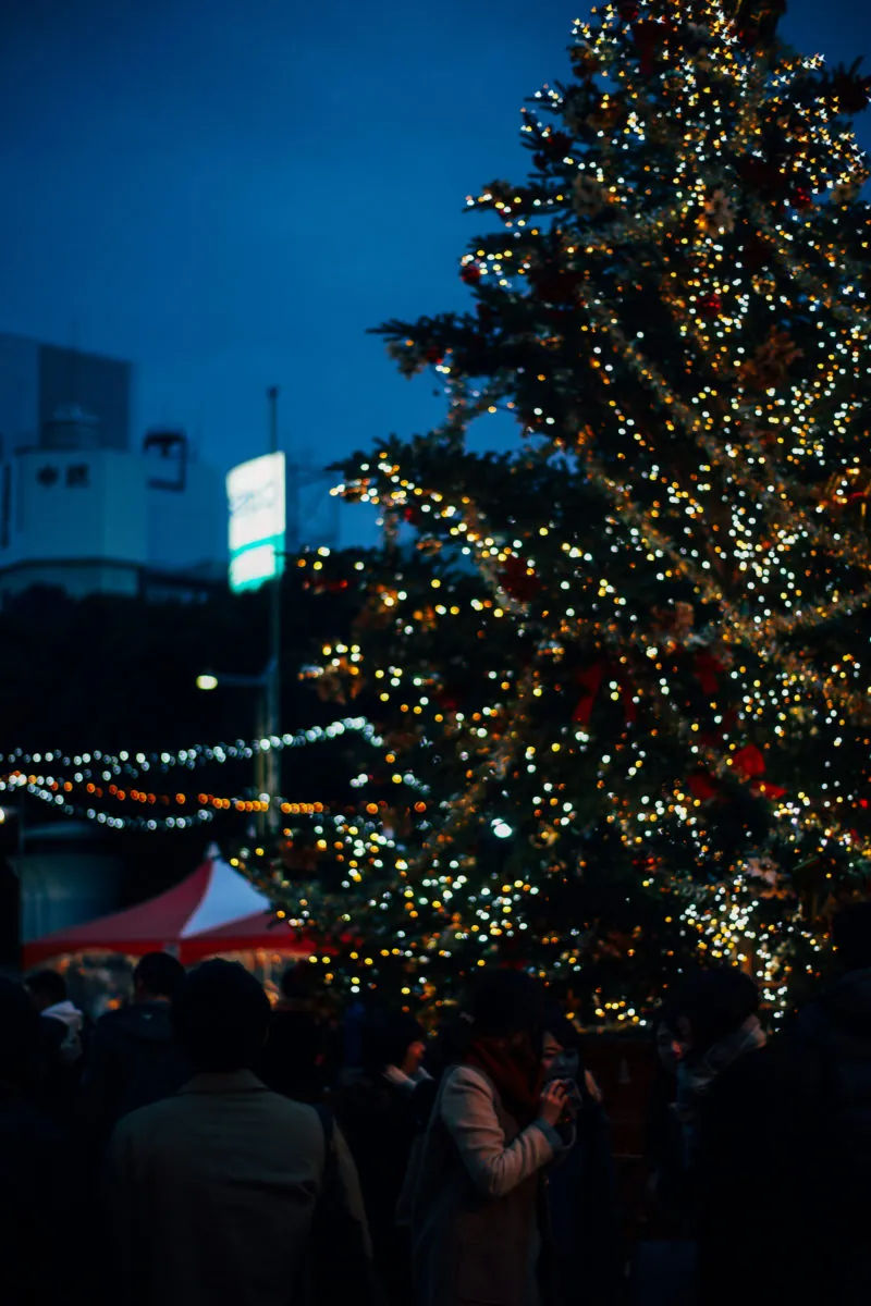 39263187501 9a5b64a2fb o