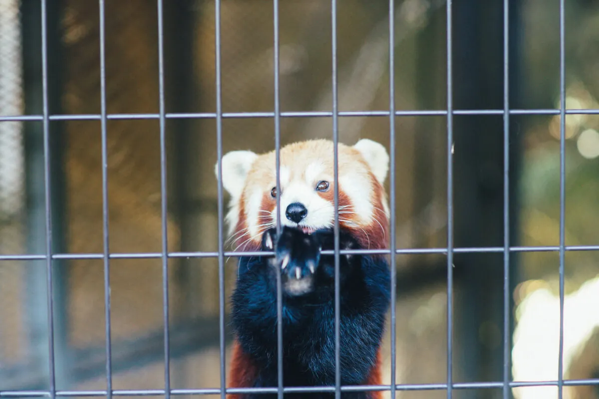 39614907171 b0f8c4162e o