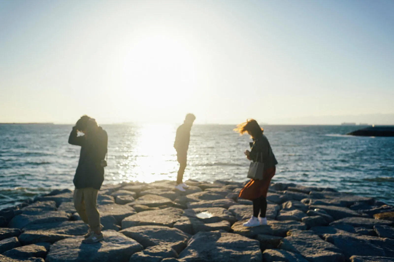 39847829105 24e9283fa6 o