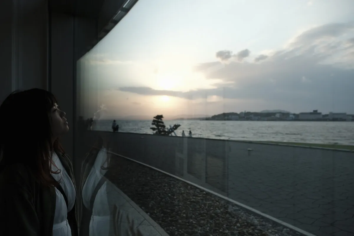 40120983800 abb004d5d1 o