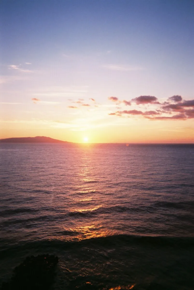 40337534631 3c76aa61d3 o