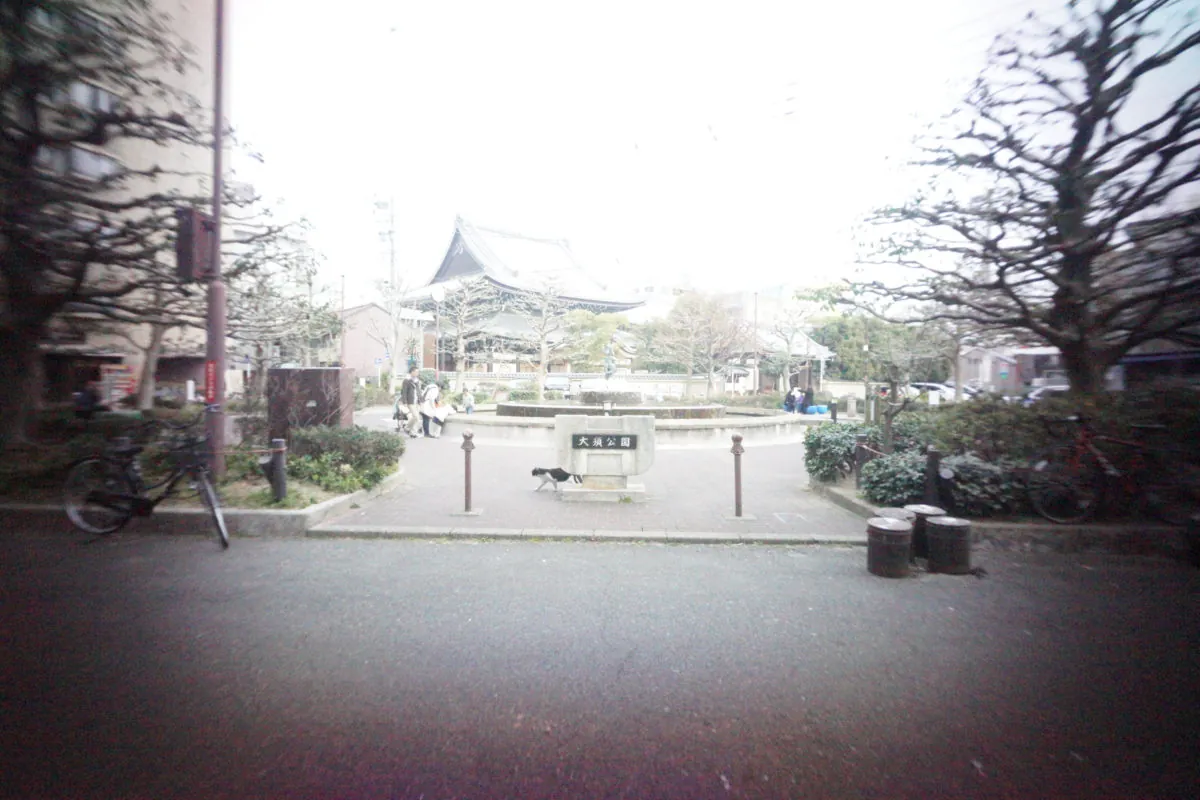 40407072952 f523cf32cf o