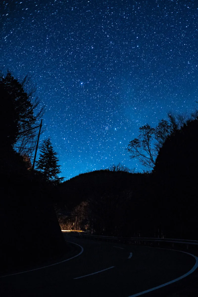 40665762515 b274595030 o