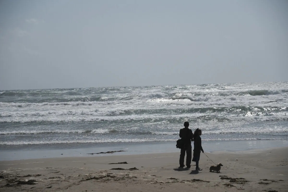 41185673854 fb590a1cc1 o