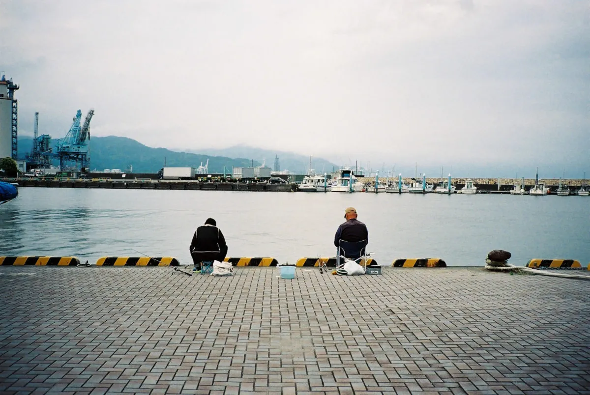 41246260015 da5a846592 o