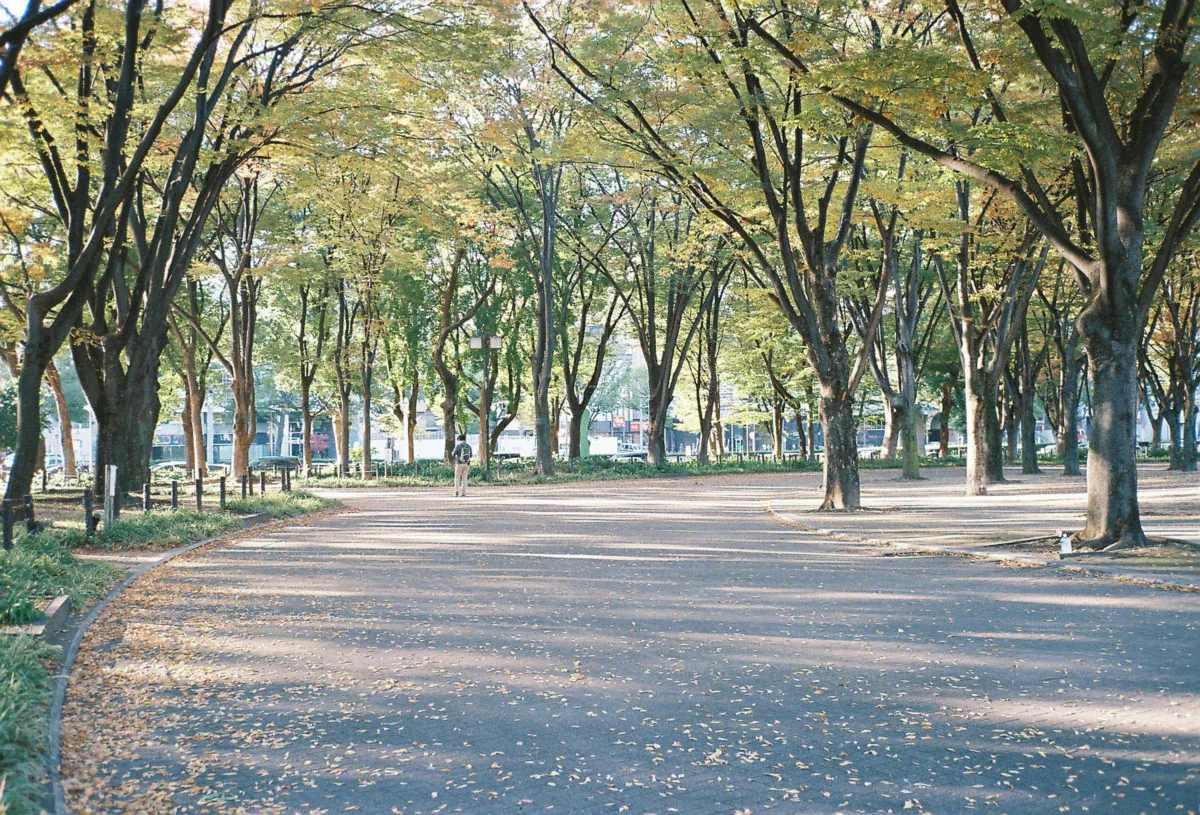 41246263375 0c70322d8b o