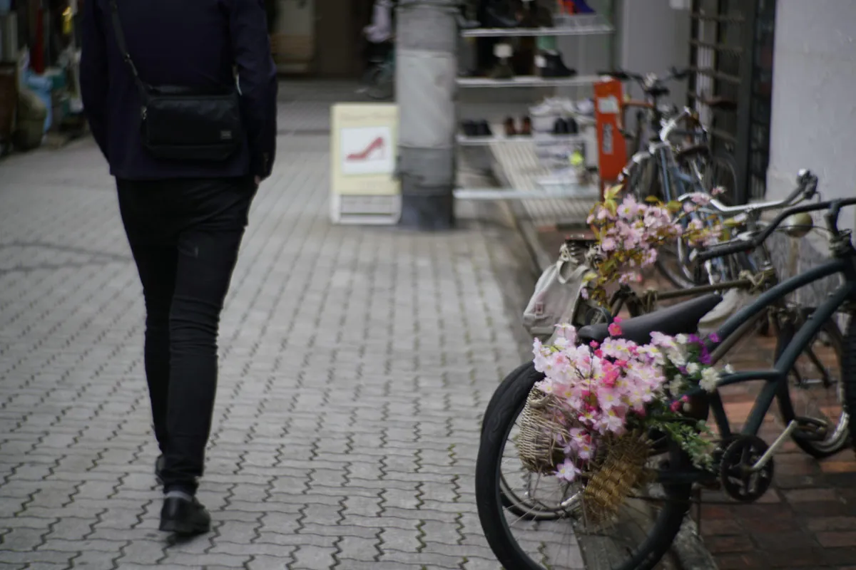 41366340221 c20abc77b1 o