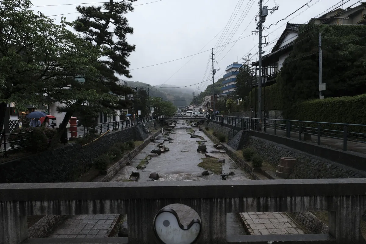 41859926492 8cbf02af64 o