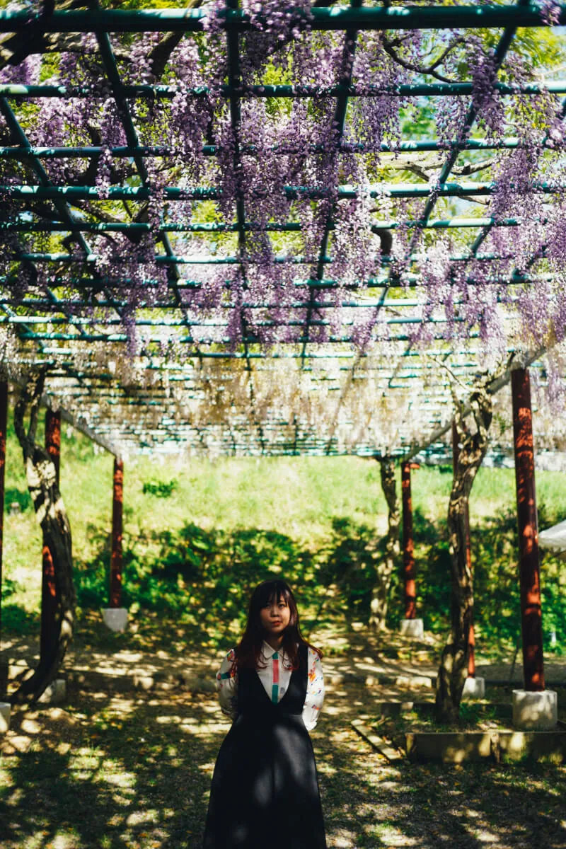 41997126311 f066499d85 o 1