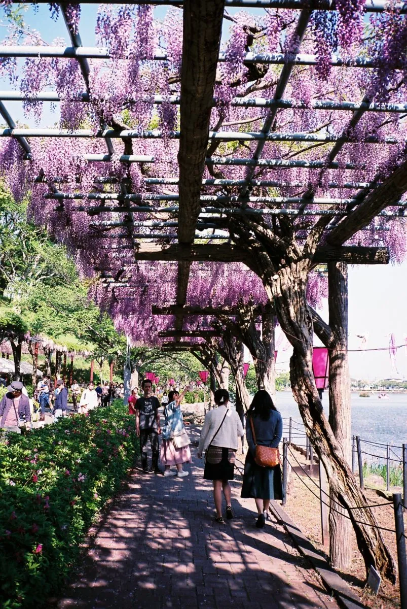 42147366351 3aaca95148 o