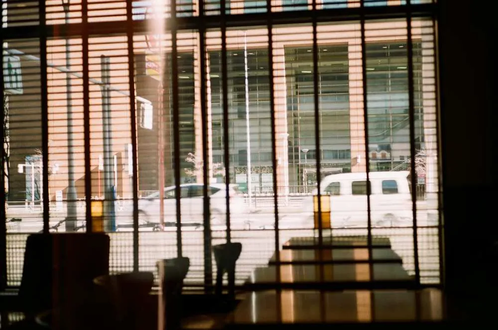 フィルムカメラのワンテンポ遅れてくる感じがたまらない