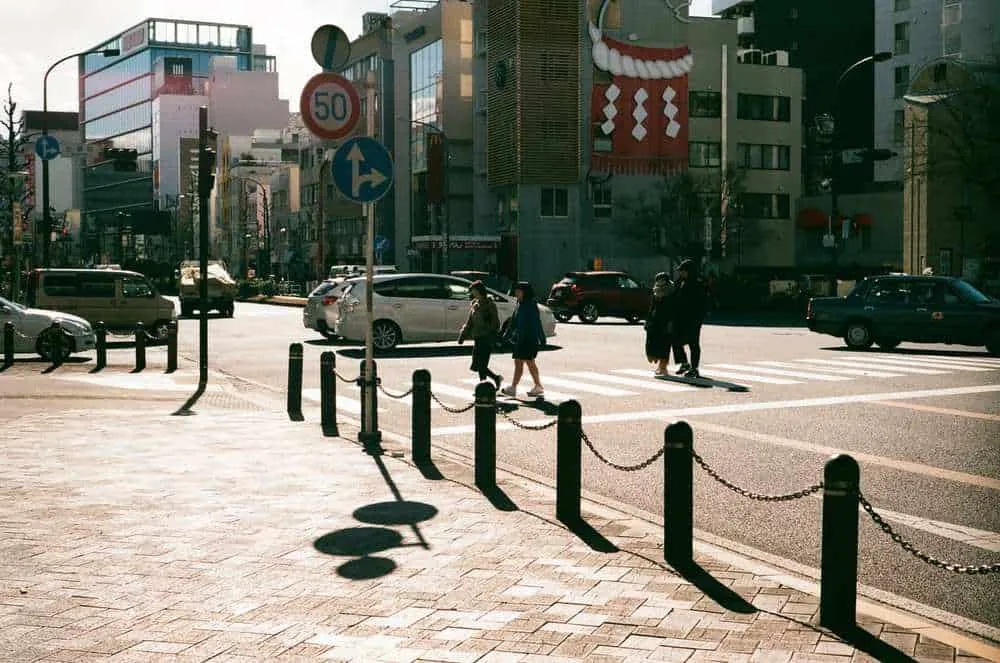 フィルムカメラのワンテンポ遅れてくる感じがたまらない