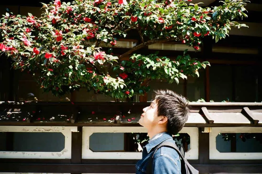 【CONTAX T2】春の郡上八幡と男5人旅