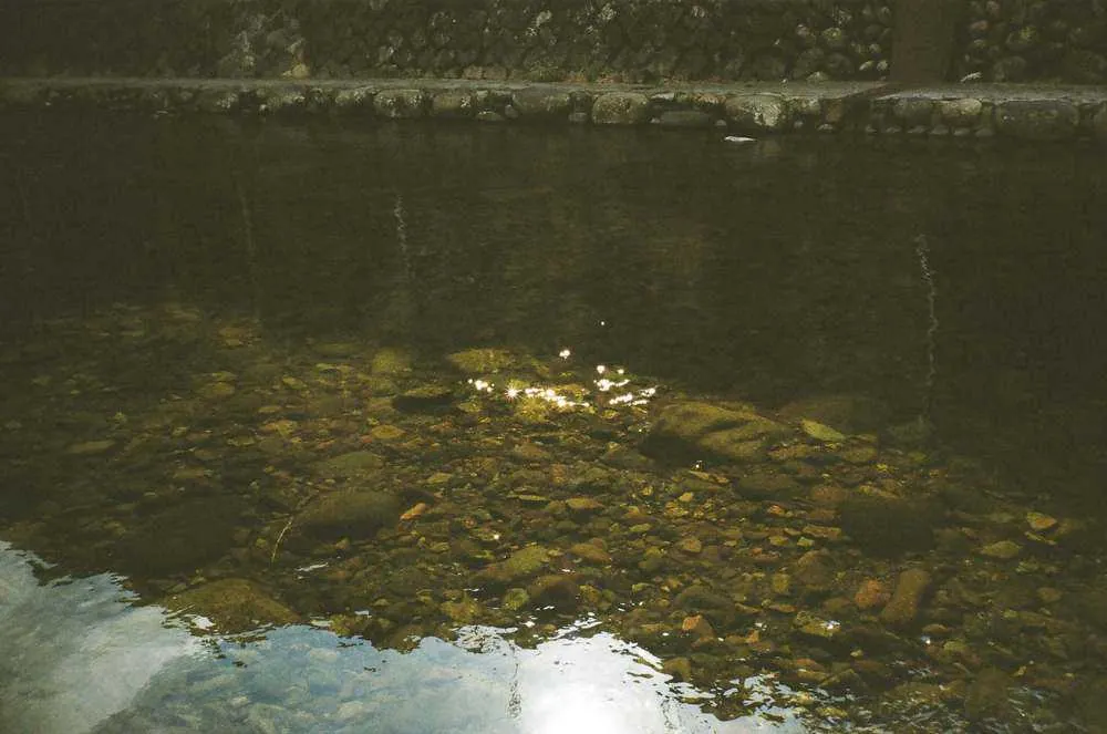 【CONTAX T2】春の郡上八幡と男5人旅