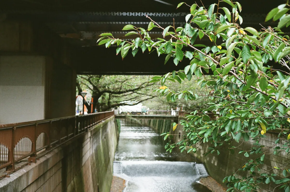 LeicaM3と東京観光(新宿・渋谷・中目黒)