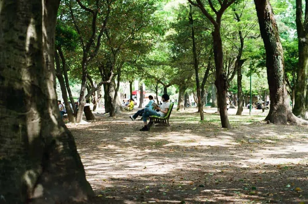 【作例】CONTAX 139 QUARTZとPlanar T* 50mm F1.4で大須観音と鶴舞公園へ