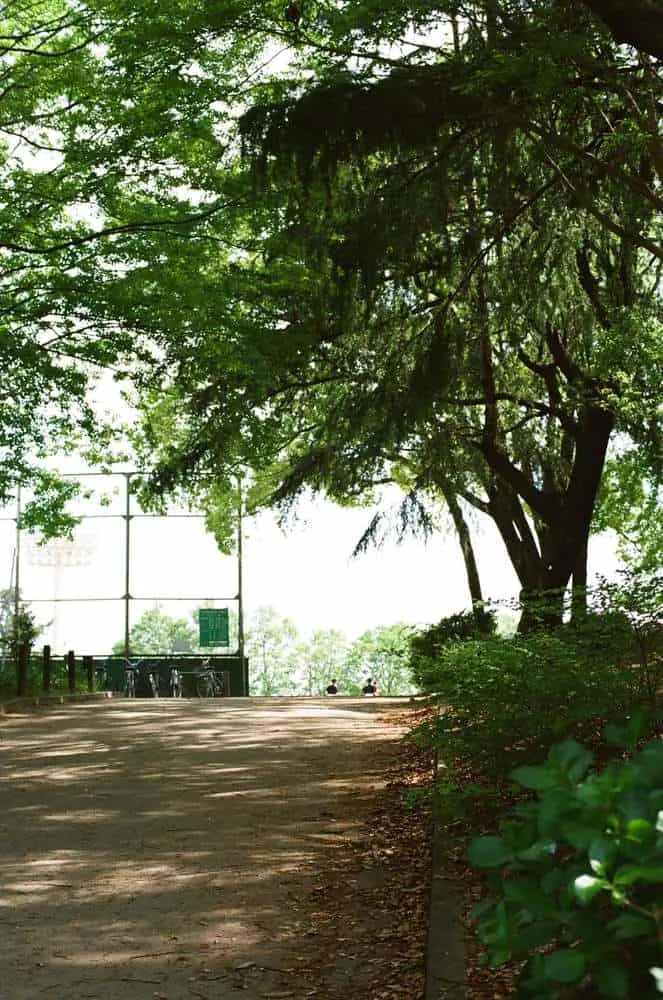 【作例】CONTAX 139 QUARTZとPlanar T* 50mm F1.4で大須観音と鶴舞公園へ