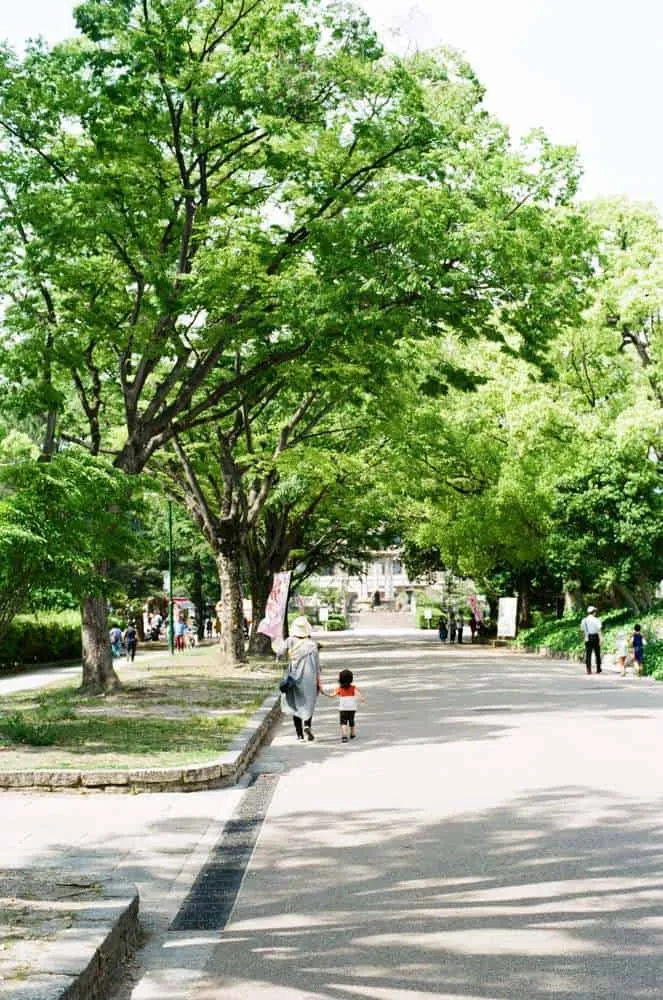 【作例】CONTAX 139 QUARTZとPlanar T* 50mm F1.4で大須観音と鶴舞公園へ