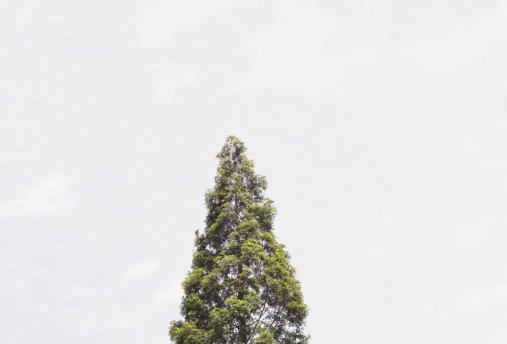 2019年、大阪、初夏