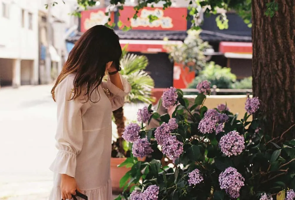 2019年、大阪、初夏