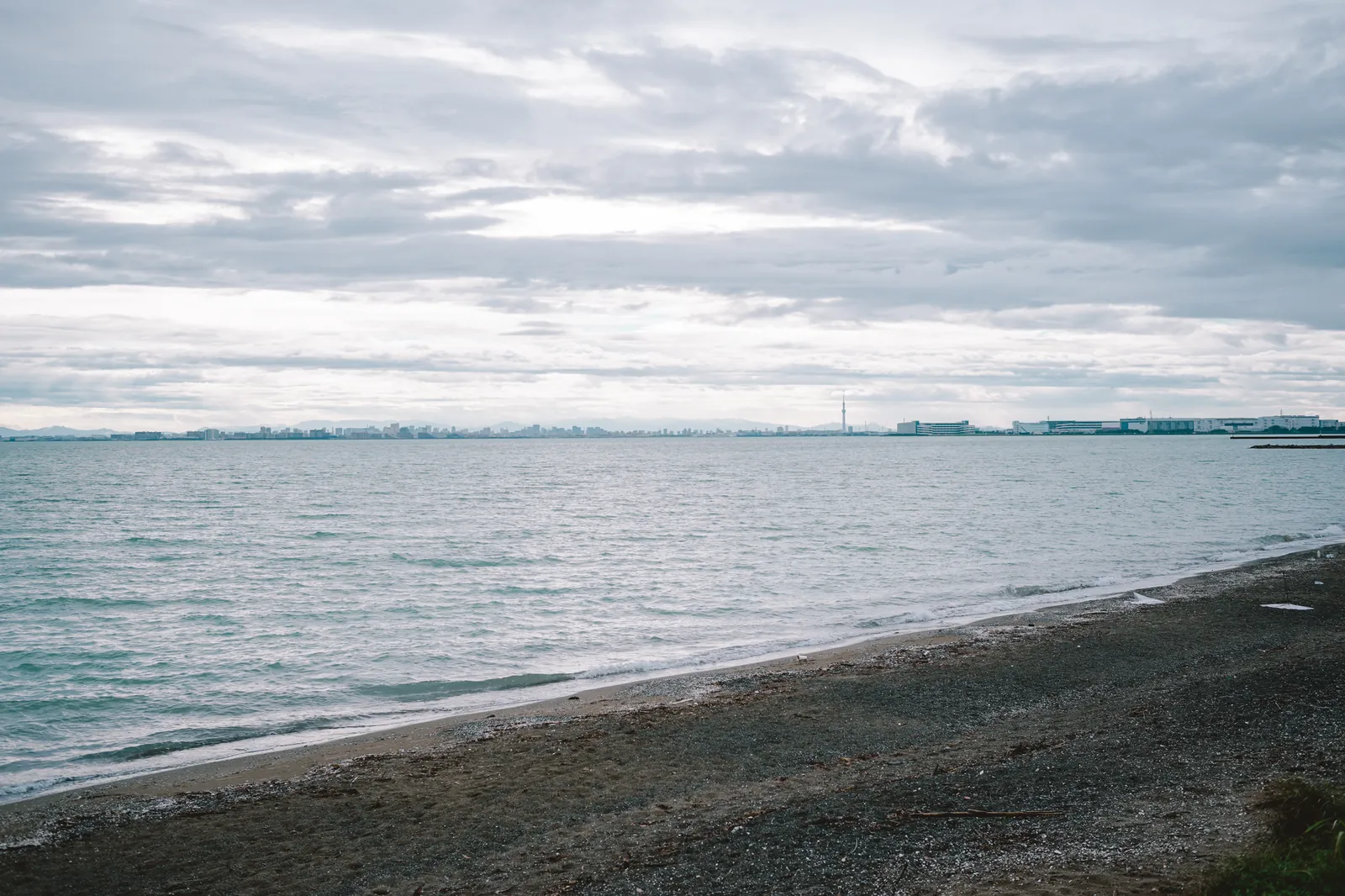 キャンプと猫のカメラにSONY α7C