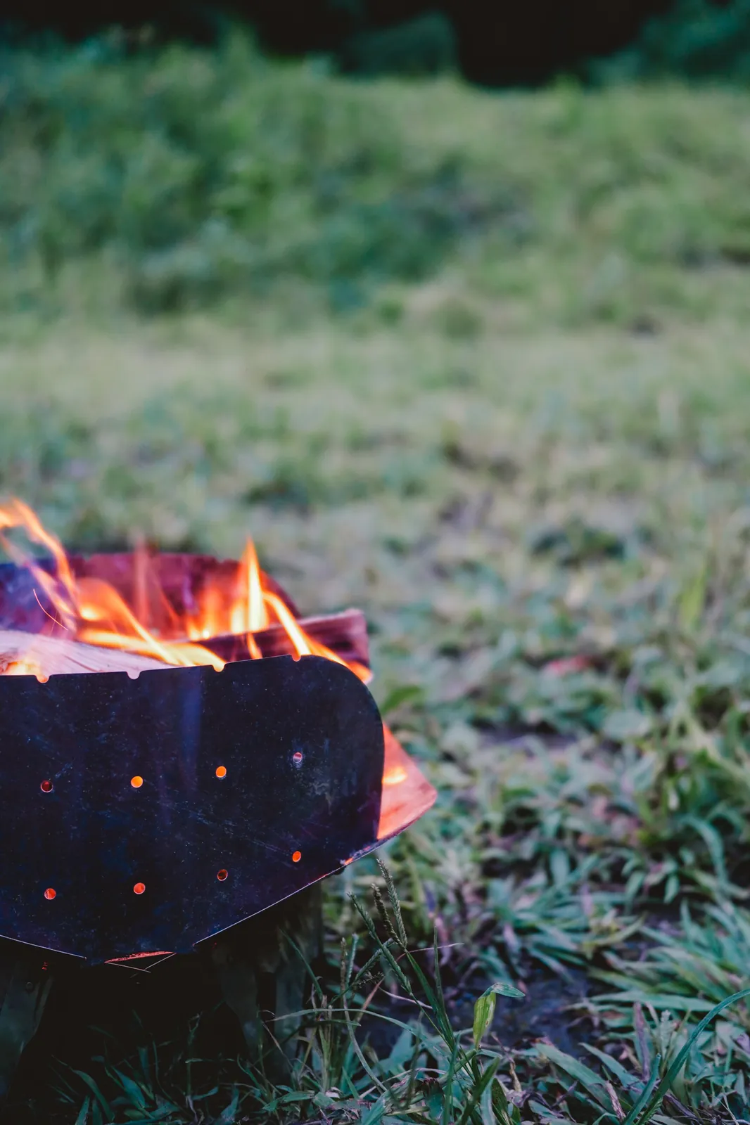 キャンプと猫のカメラにSONY α7C