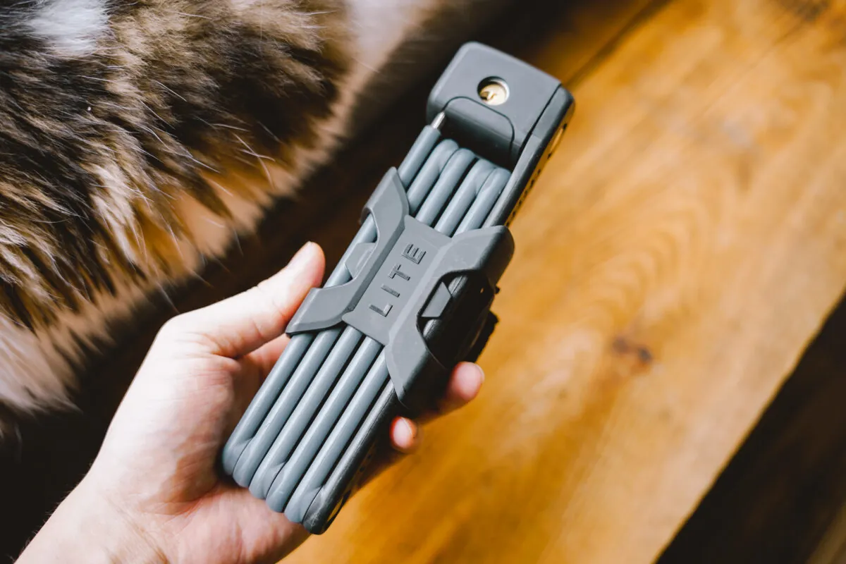 折りたたみ自転車 DAHON BOARDWALK D7を買いました