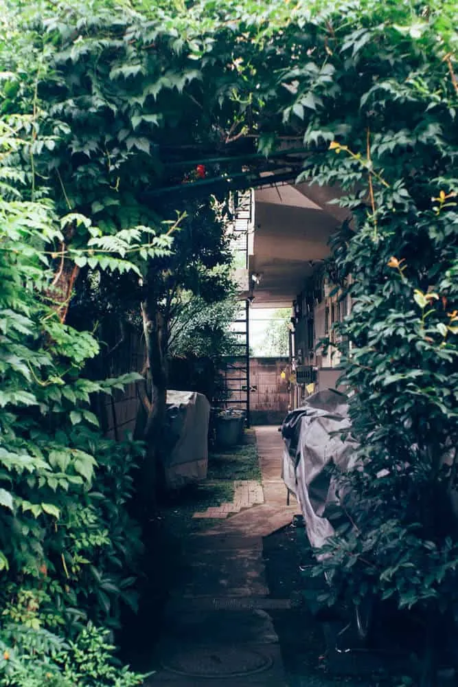 α7iiとFlektogon2.8/35で池袋から目白歩いて撮った